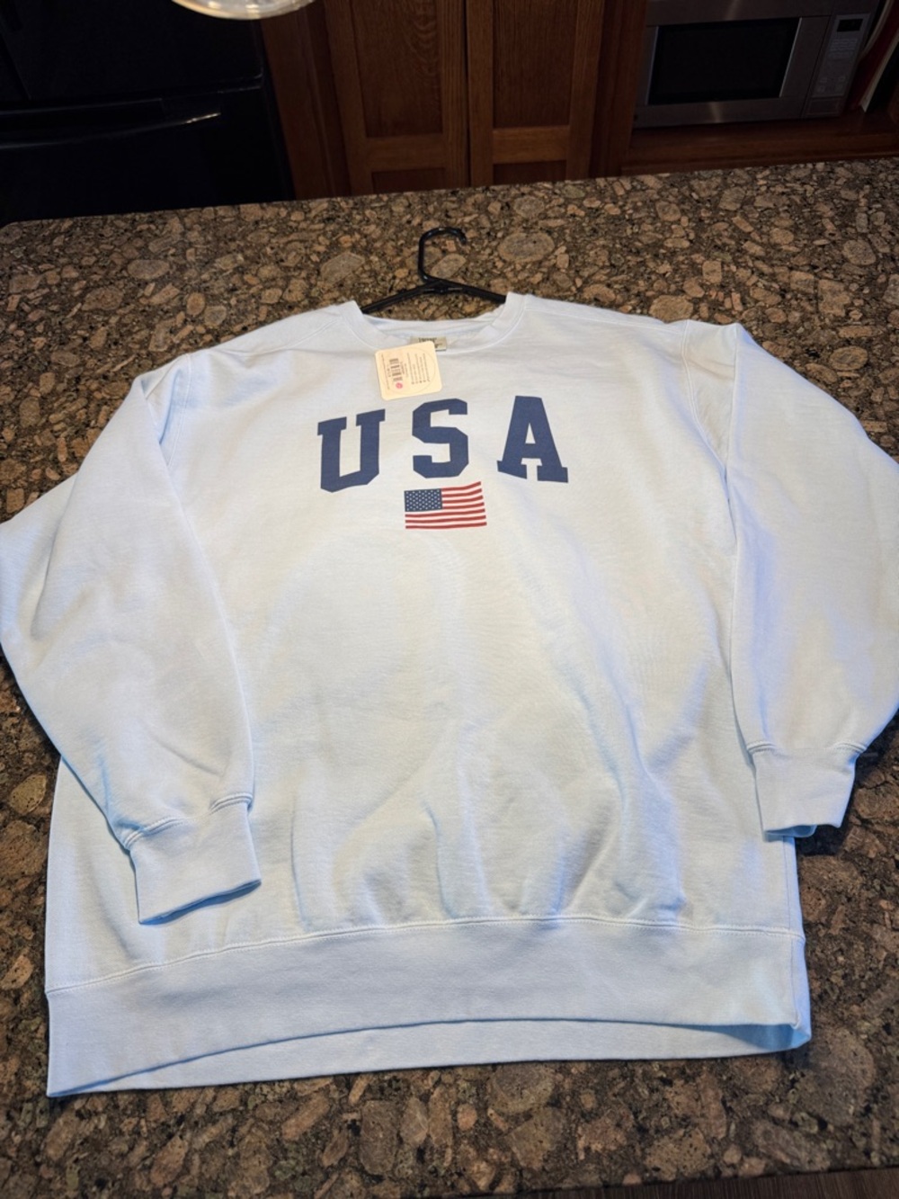 Comfort Colors Light Blue USA Crewneck Sweatshirt